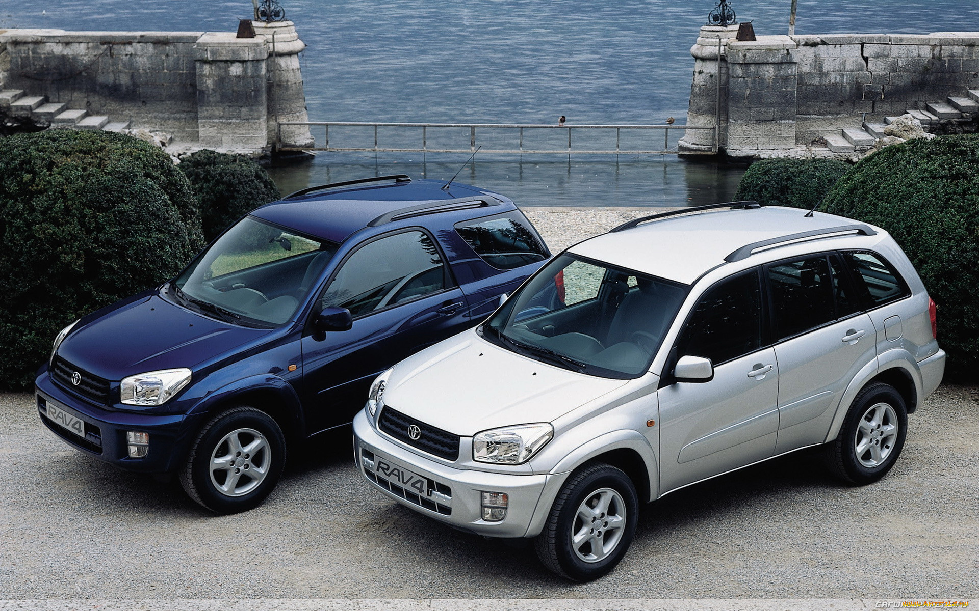 , toyota, rav